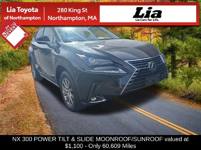 2020 Lexus NX 300