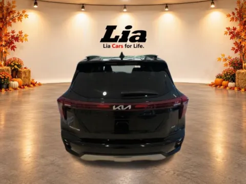 Another view of 2024 Kia Seltos EX for sale in Blauvelt, NY at Lia Toyota of Rockland