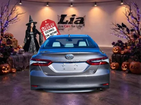 More photos of 2024 Toyota Camry XLE at Lia Toyota of Wilbraham, MA