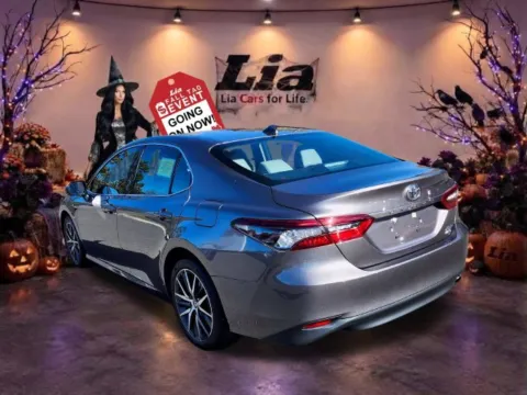 More photos of 2024 Toyota Camry XLE at Lia Toyota of Wilbraham, MA