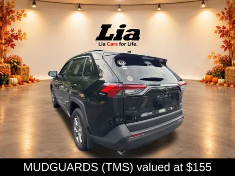 More photos of 2025 Toyota RAV4 Hybrid LE at Lia Toyota of Wilbraham, MA
