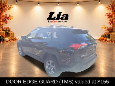 More photos of 2024 Toyota RAV4 Hybrid LE at Lia Toyota of Wilbraham, MA