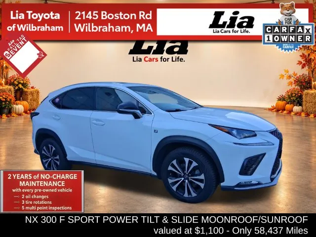 2021 Lexus NX