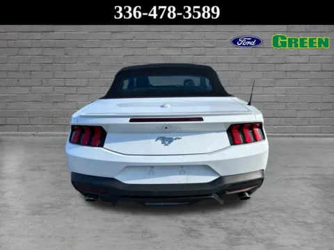 More photos of 2025 Ford Mustang EcoBoost Premium at Green Ford, NC