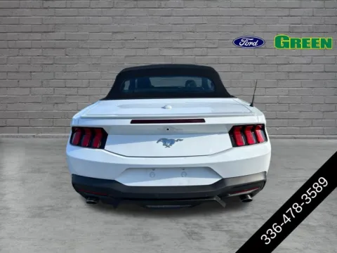 More photos of 2025 Ford Mustang EcoBoost Premium at Green Ford, NC