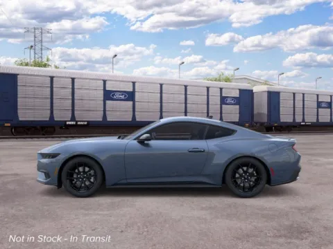 More photos of 2026 Ford Mustang EcoBoost at Green Ford, NC