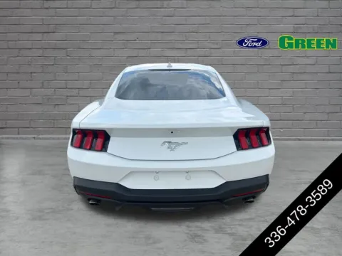 More photos of 2024 Ford Mustang EcoBoost at Green Ford, NC