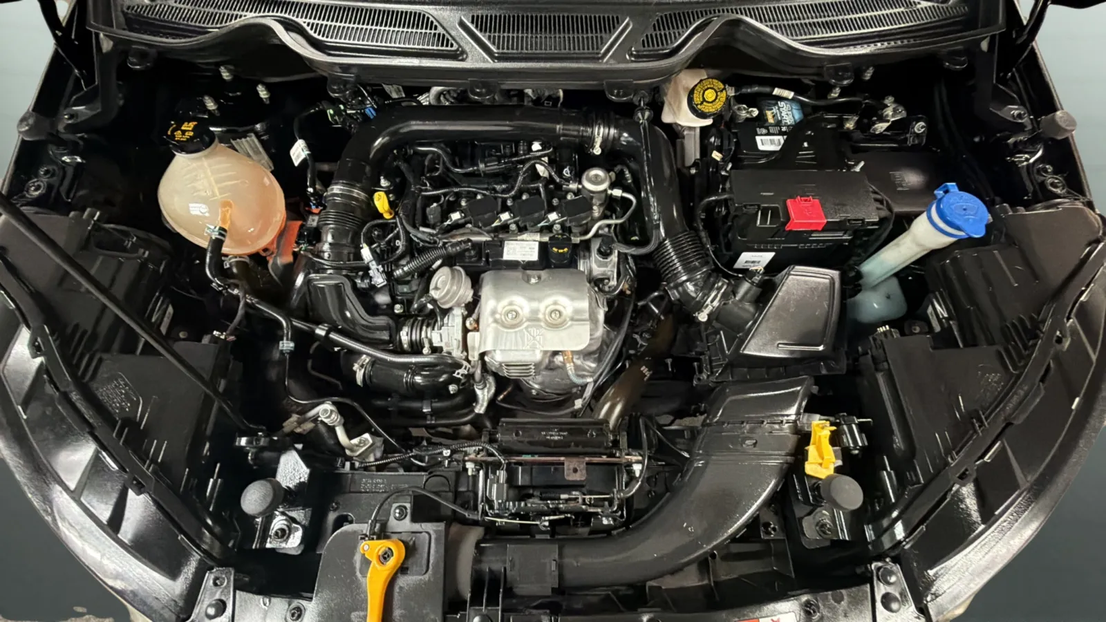 Ford Ecosport photo 23
