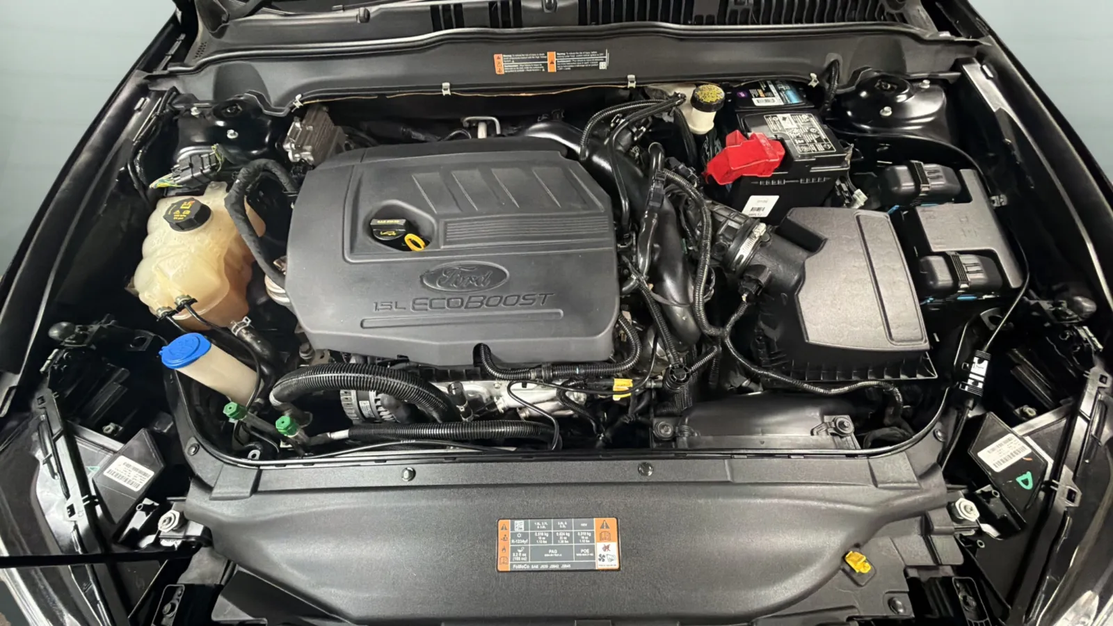 Ford Fusion photo 23