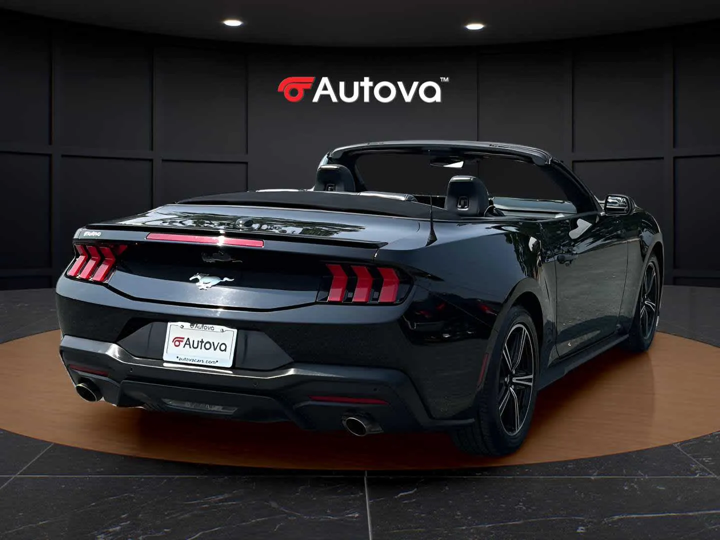 Ford Mustang photo 5
