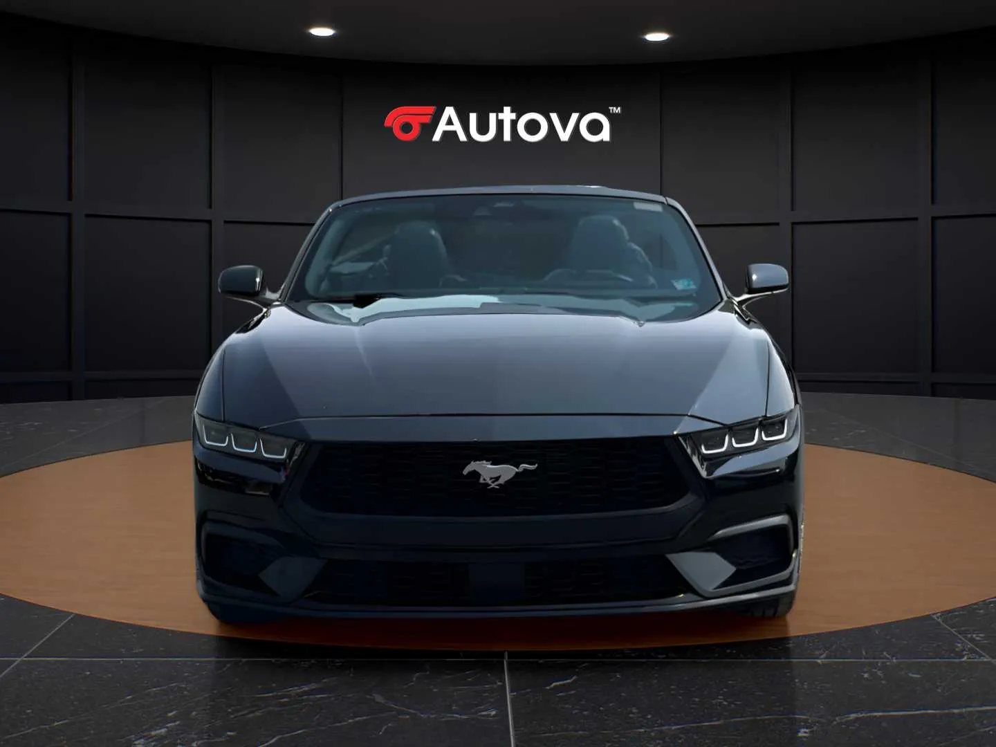 Ford Mustang photo 8