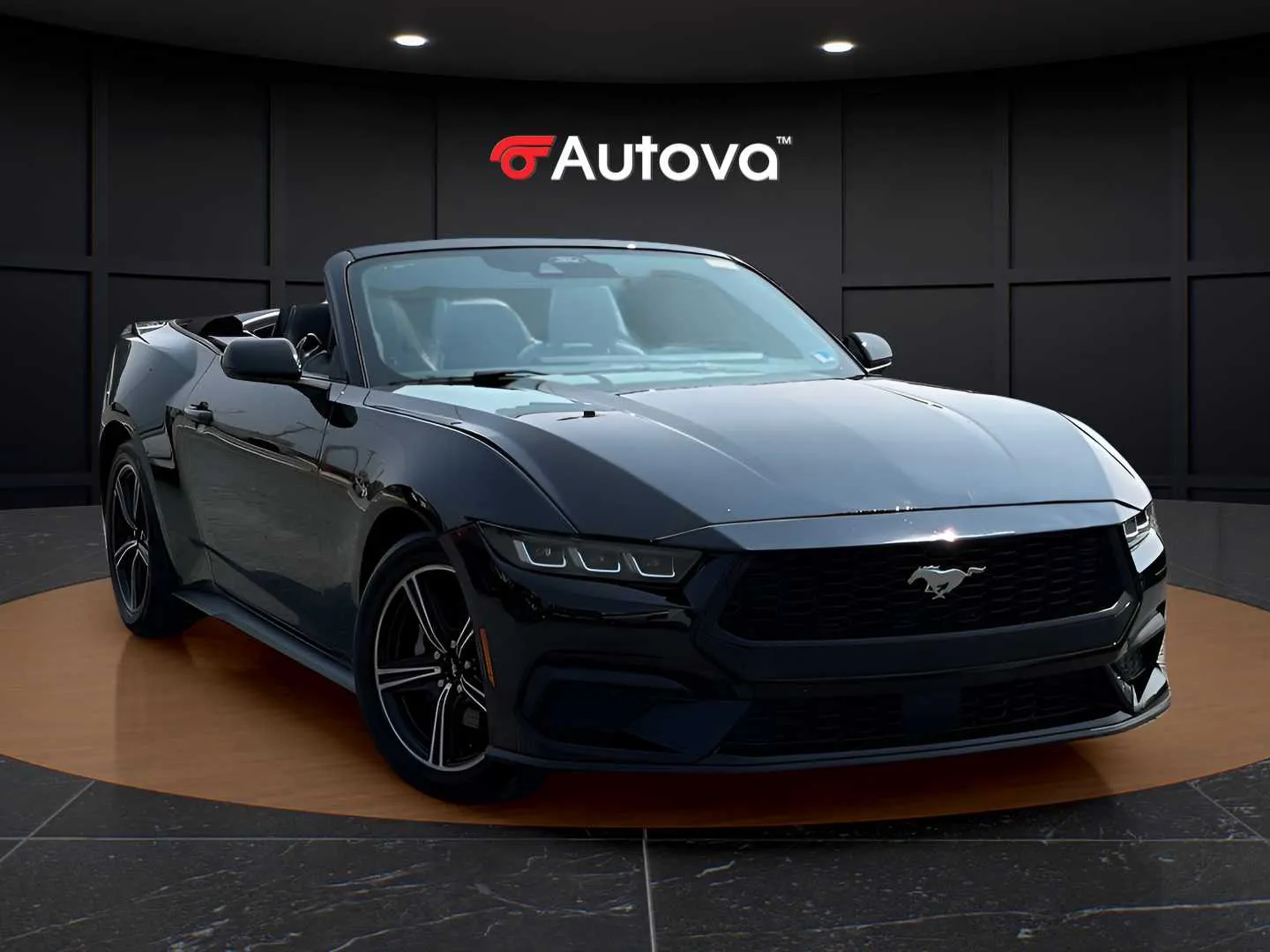 Ford Mustang photo 7