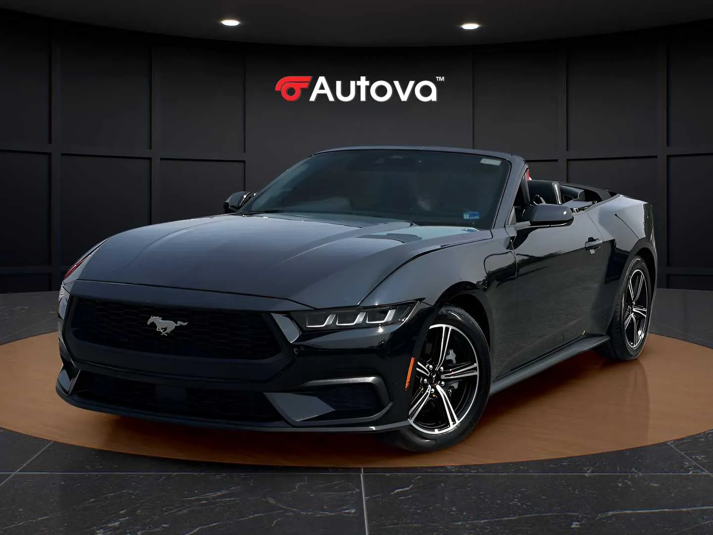 Black 2025 Ford Mustang EcoBoost Premium for sale in Forest, VA
