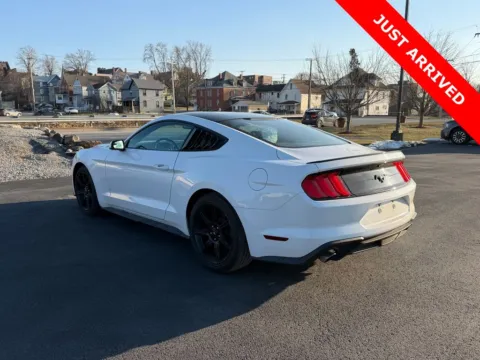 More photos of 2018 Ford Mustang EcoBoost at Kurt Johnson Auto Sales & Service, PA