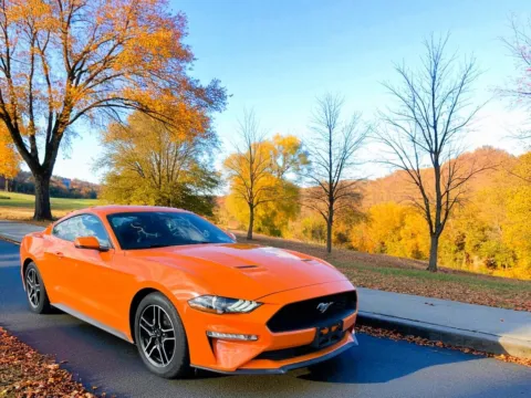 Orange 2020 Ford Mustang EcoBoost Premium for sale in DuBois, PA