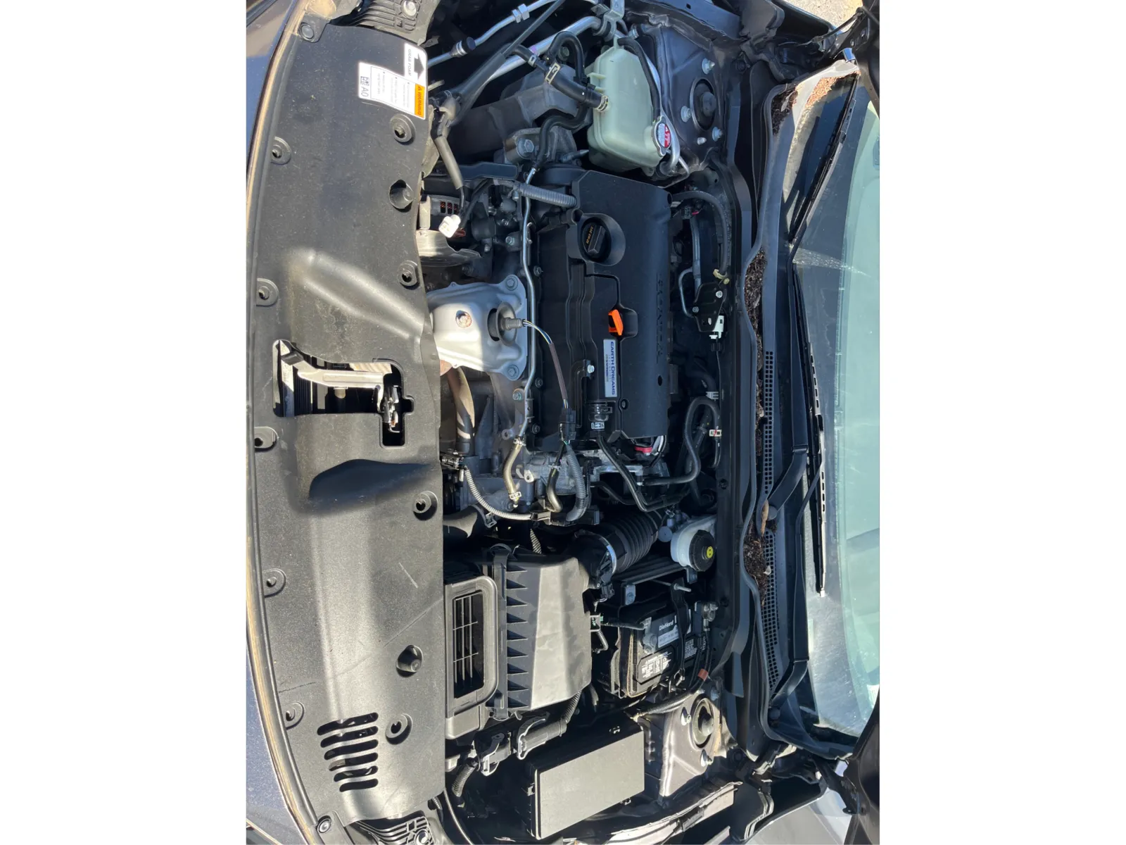 Honda Civic photo 11
