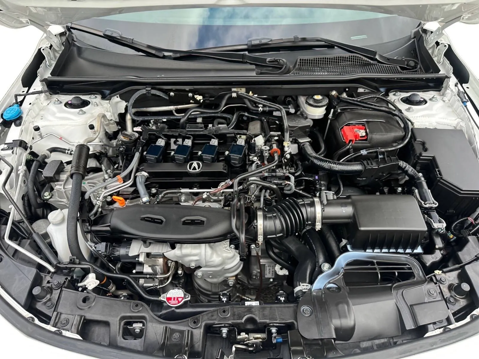Acura Integra photo 16