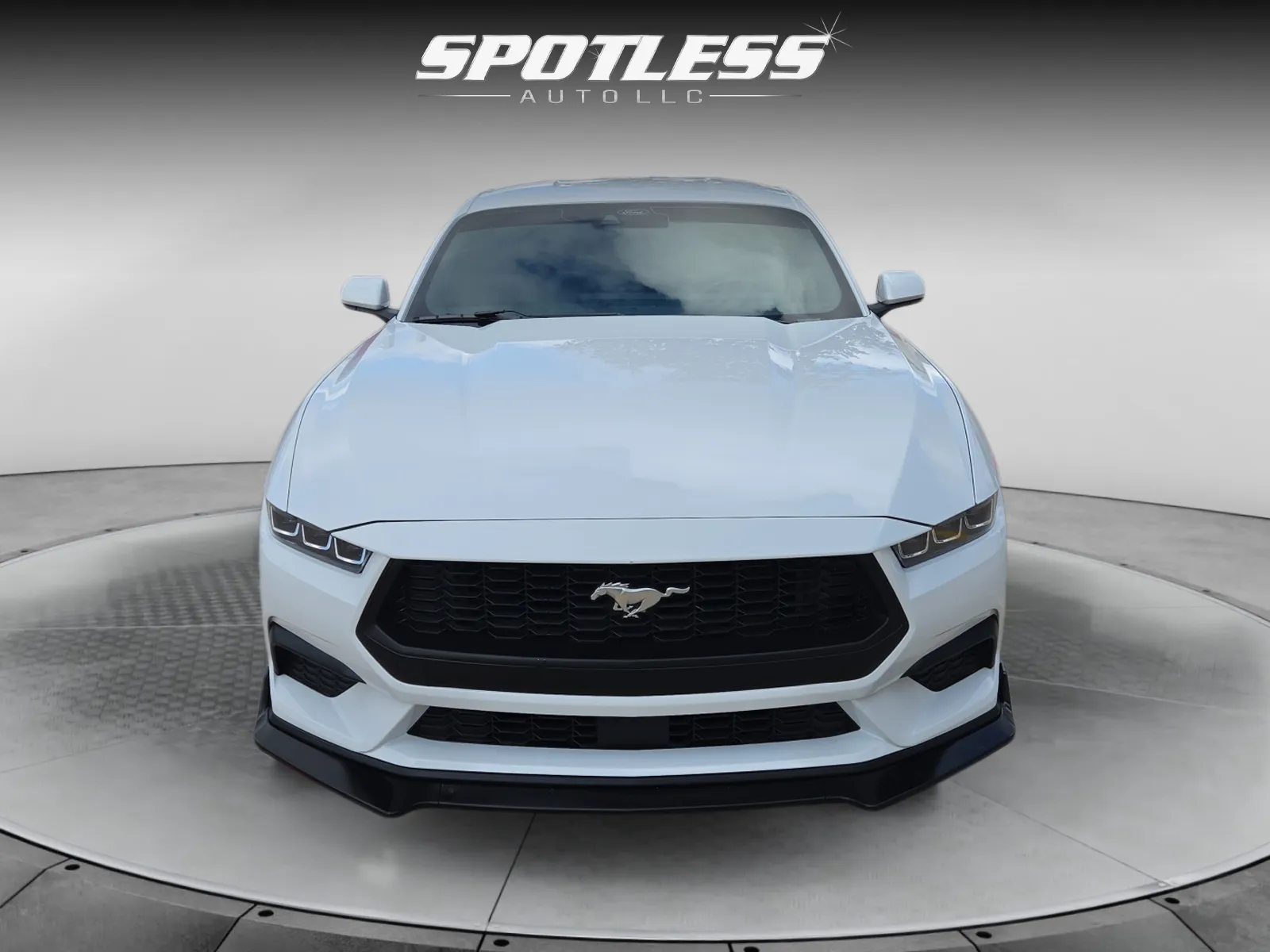 Ford Mustang photo 10