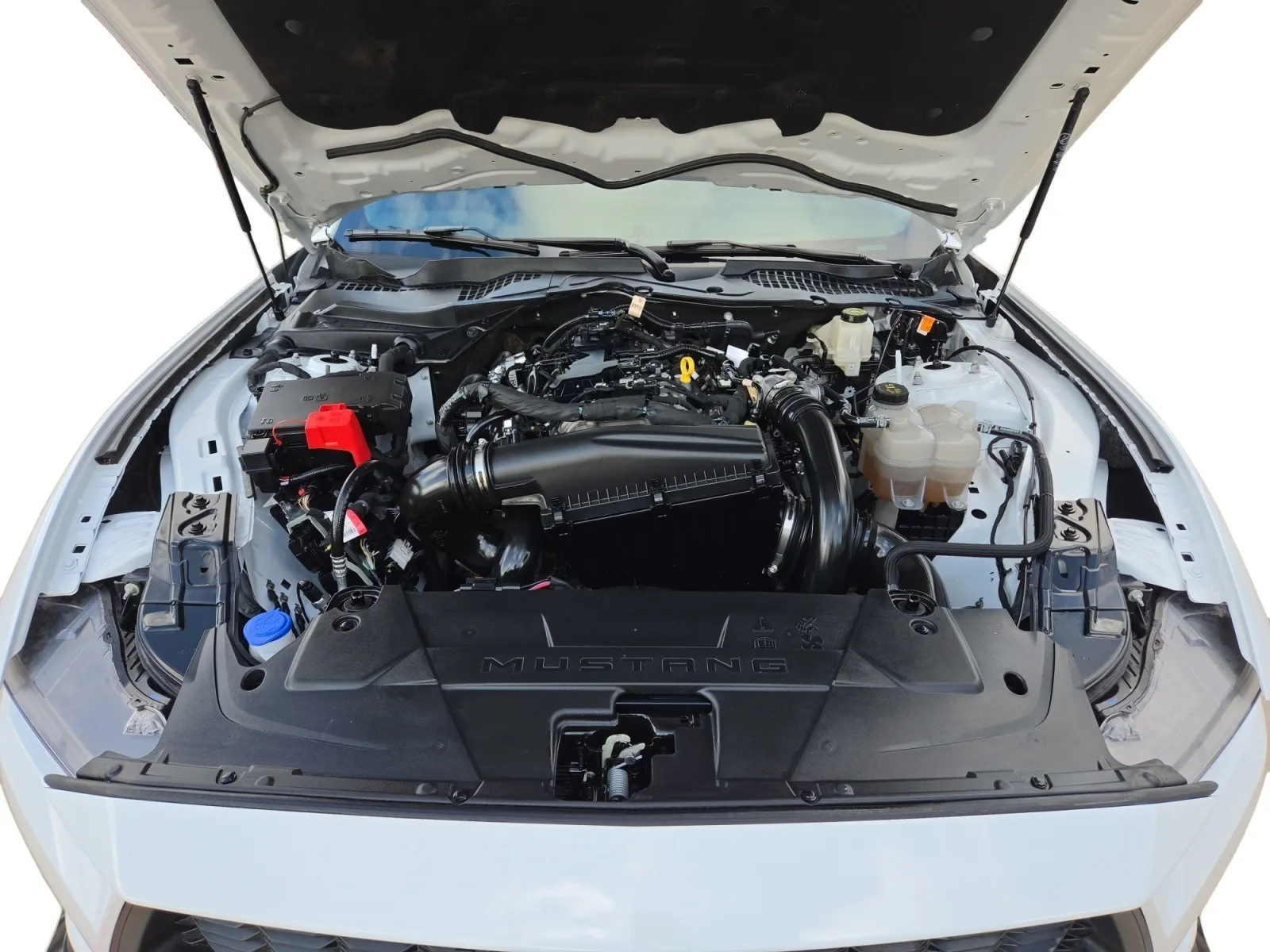 Ford Mustang photo 16