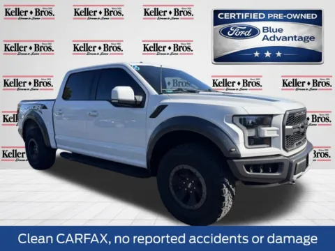 White 2017 Ford F-150 Raptor for sale in Lebanon, PA