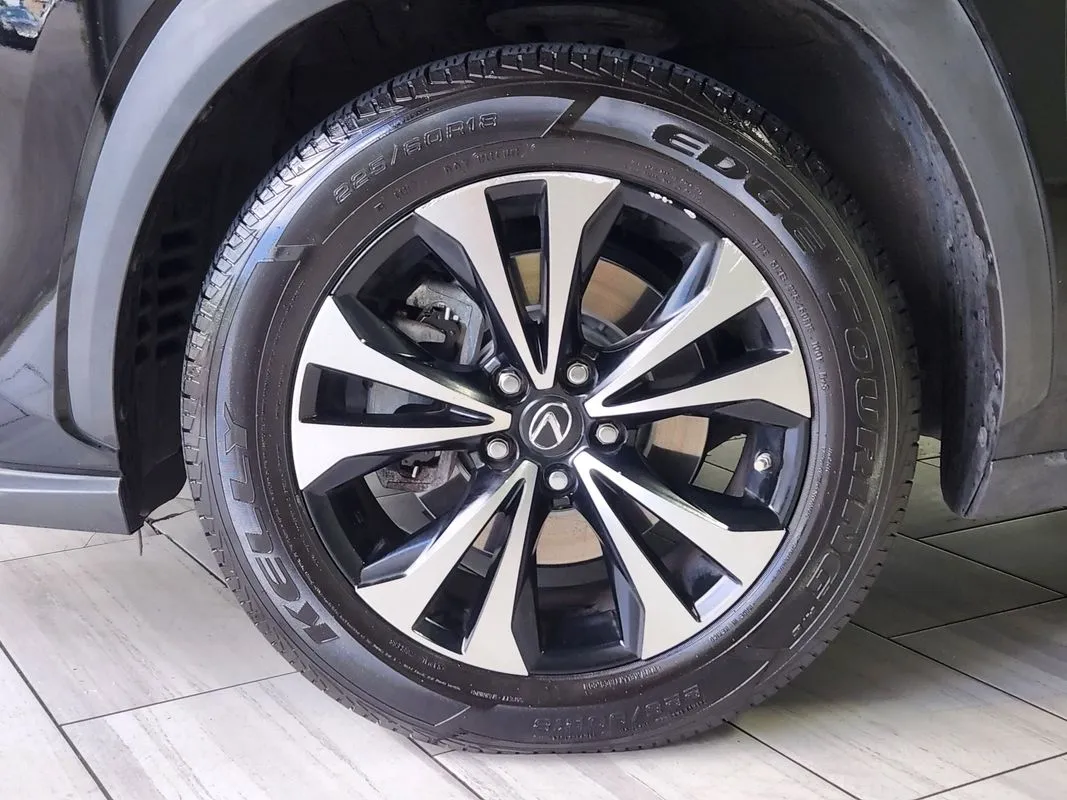 Lexus NX photo 9