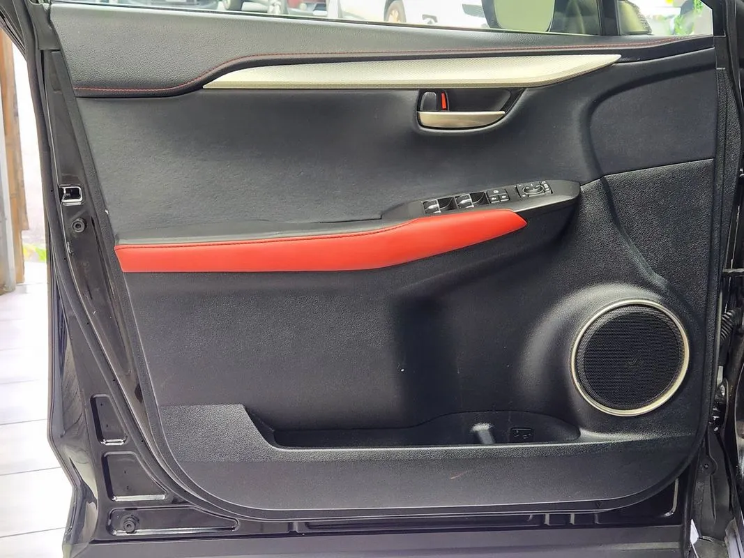 Lexus NX photo 10