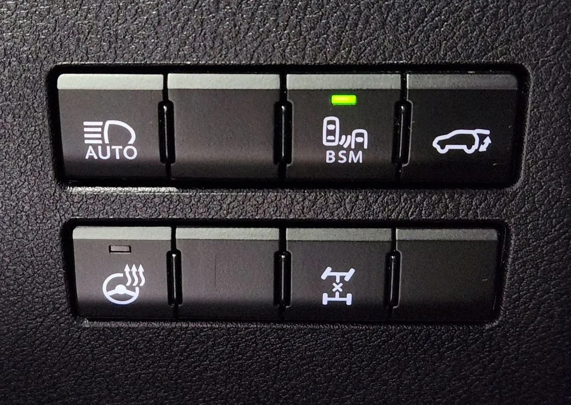 Lexus NX photo 21