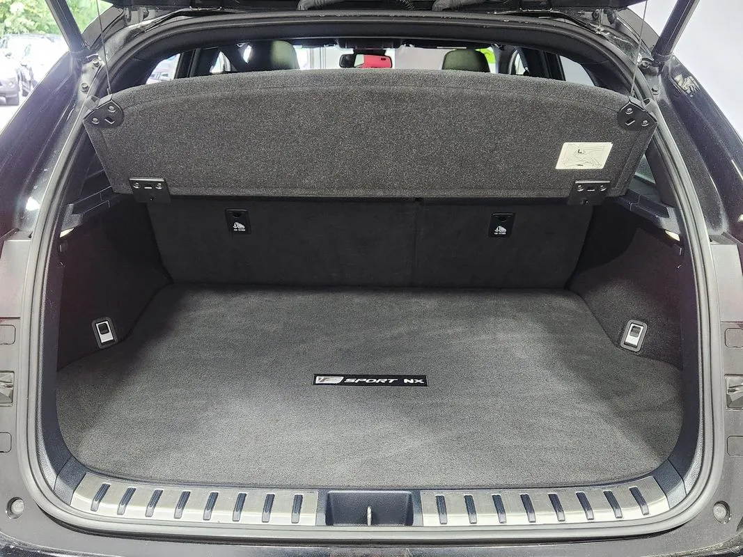Lexus NX photo 14