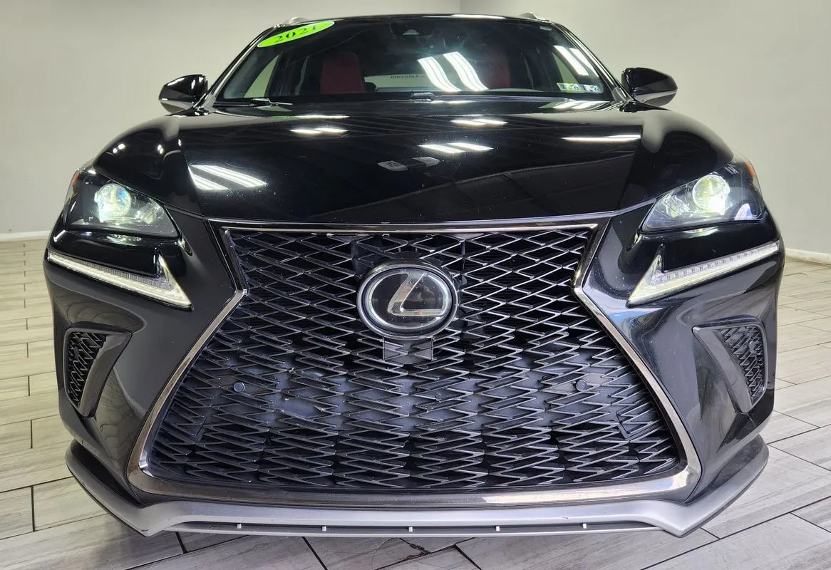 Lexus NX photo 8