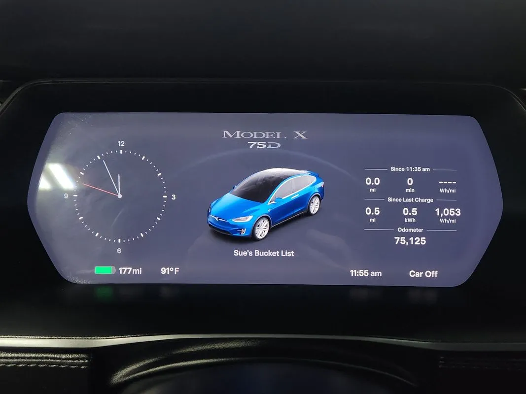 Tesla Model X photo 20