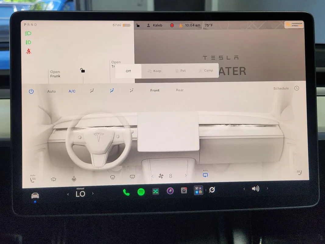 Tesla Model 3 photo 28