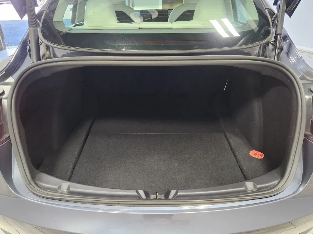 Tesla Model 3 photo 14