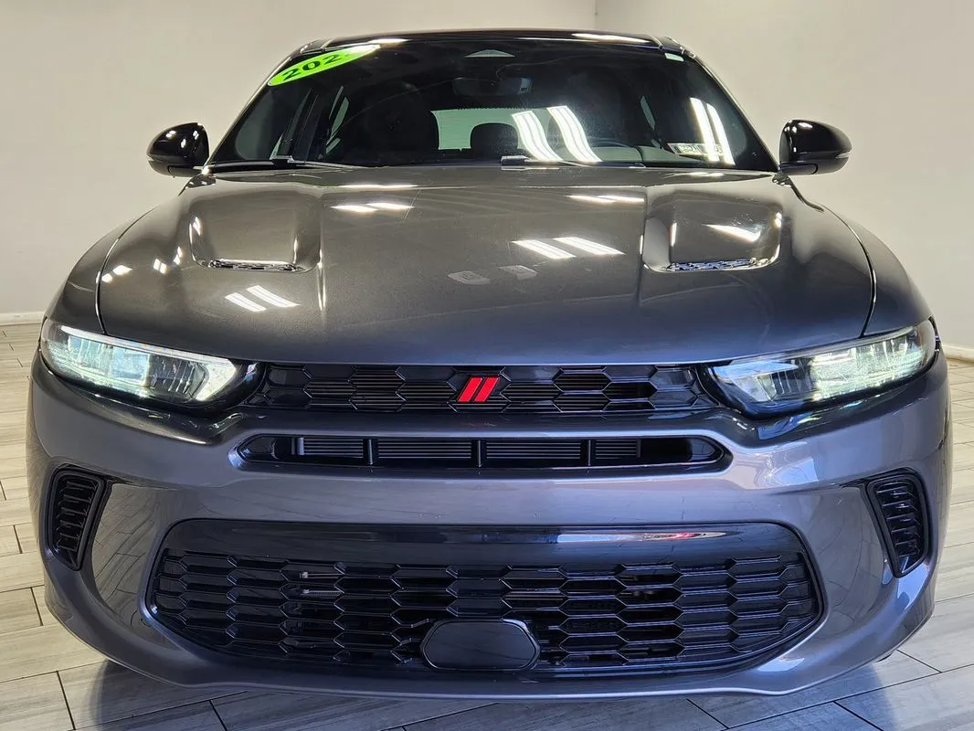 Dodge Hornet photo 8