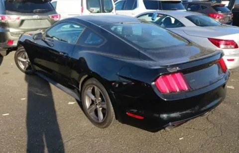 Photos of 2017 Ford Mustang EcoBoost Coupe 2D for sale in West Bridgewater, MA at DriveMax (Auto Center Sales and Service)