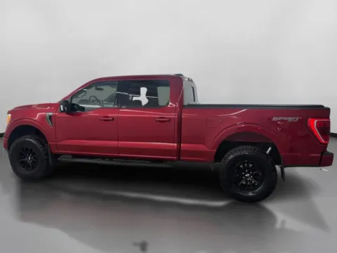 More photos of 2021 Ford F-150 XLT at DriveMax (Auto Center Sales and Service), MA