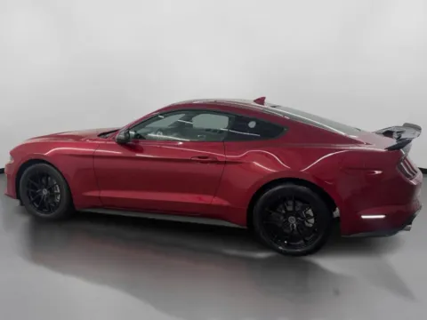 More photos of 2023 Ford Mustang EcoBoost Coupe 2D at DriveMax (Auto Center Sales and Service), MA