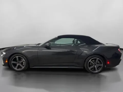 More photos of 2024 Ford Mustang EcoBoost Premium Convertible 2D at DriveMax (Auto Center Sales and Service), MA