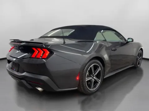 More photos of 2024 Ford Mustang EcoBoost Premium Convertible 2D at DriveMax (Auto Center Sales and Service), MA