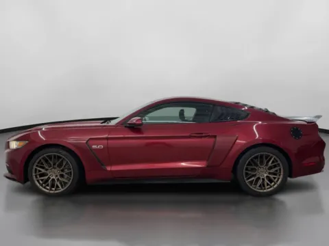 More photos of 2015 Ford Mustang GT Coupe 2D at DriveMax (Auto Center Sales and Service), MA
