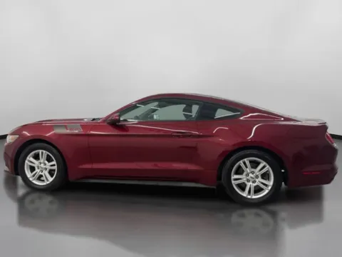 More photos of 2015 Ford Mustang EcoBoost Coupe 2D at DriveMax (Auto Center Sales and Service), MA