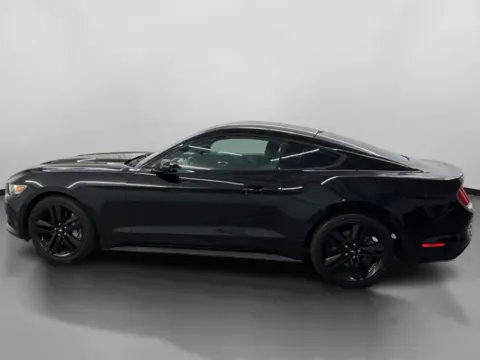More photos of 2015 Ford Mustang EcoBoost Coupe 2D at DriveMax (Auto Center Sales and Service), MA