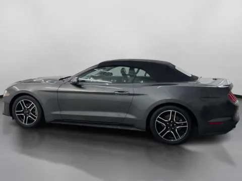 More photos of 2020 Ford Mustang EcoBoost Premium Convertible 2D at DriveMax (Auto Center Sales and Service), MA