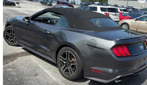 Photos of 2020 Ford Mustang EcoBoost Premium Convertible 2D for sale in West Bridgewater, MA at DriveMax (Auto Center Sales and Service)