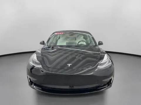 Photos of 2021 Tesla Model 3 Long Range Sedan 4D for sale in West Bridgewater, MA at DriveMax (Auto Center Sales and Service)
