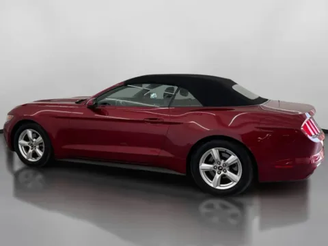 More photos of 2015 Ford Mustang V6 Convertible 2D at DriveMax (Auto Center Sales and Service), MA