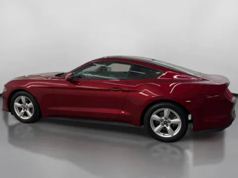 More photos of 2018 Ford Mustang EcoBoost Coupe 2D at DriveMax (Auto Center Sales and Service), MA