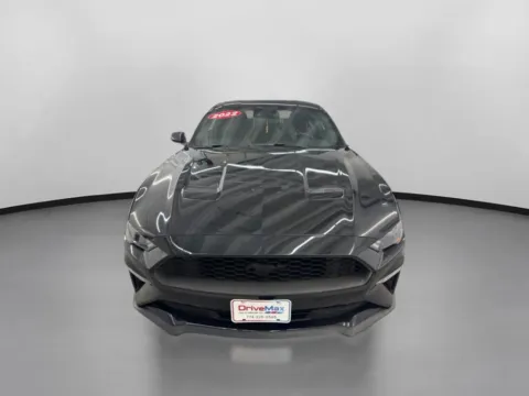 Photos of 2022 Ford Mustang EcoBoost Coupe 2D for sale in West Bridgewater, MA at DriveMax (Auto Center Sales and Service)