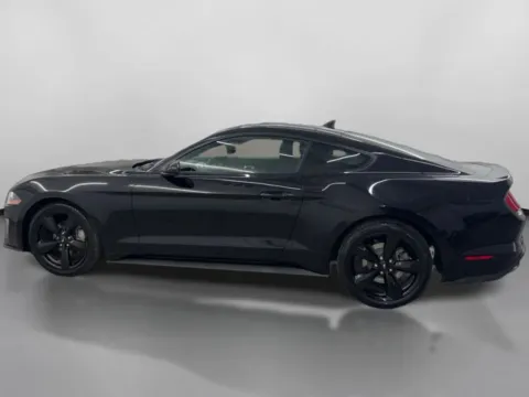 More photos of 2022 Ford Mustang EcoBoost Coupe 2D at DriveMax (Auto Center Sales and Service), MA