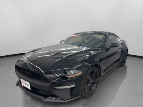 More photos of 2022 Ford Mustang EcoBoost Coupe 2D at DriveMax (Auto Center Sales and Service), MA