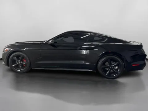 More photos of 2015 Ford Mustang V6 Coupe 2D at DriveMax (Auto Center Sales and Service), MA